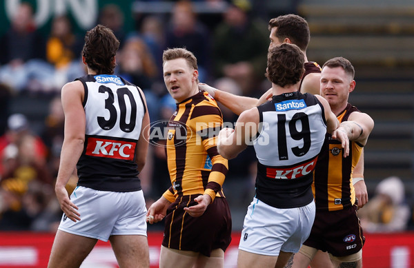 AFL 2025 Round 19 - Hawthorn v Port Adelaide - A-60613388