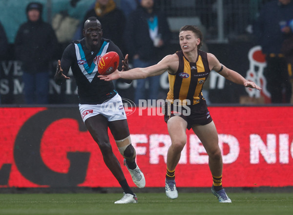 AFL 2025 Round 19 - Hawthorn v Port Adelaide - A-60613413