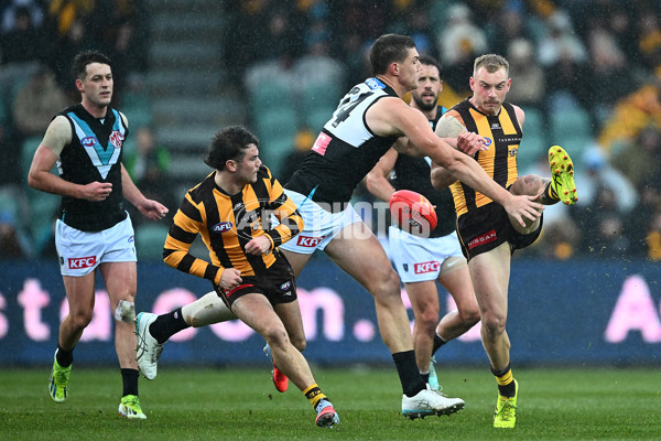 AFL 2025 Round 19 - Hawthorn v Port Adelaide - A-60613420