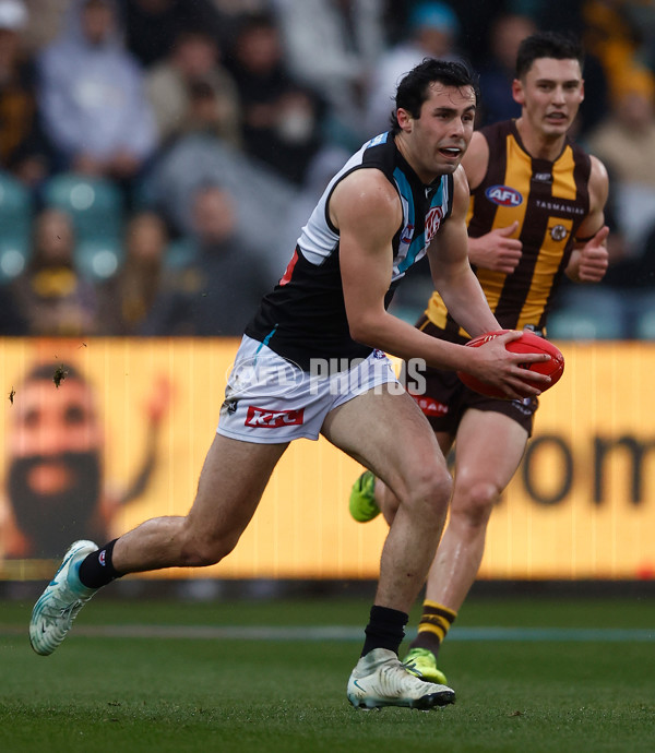 AFL 2025 Round 19 - Hawthorn v Port Adelaide - A-60613425