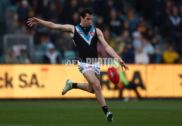 AFL 2025 Round 19 - Hawthorn v Port Adelaide - A-60613427