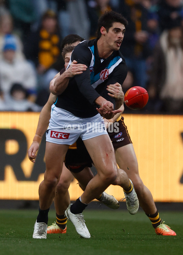 AFL 2025 Round 19 - Hawthorn v Port Adelaide - A-60613430