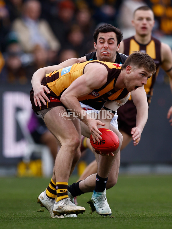 AFL 2025 Round 19 - Hawthorn v Port Adelaide - A-60615555