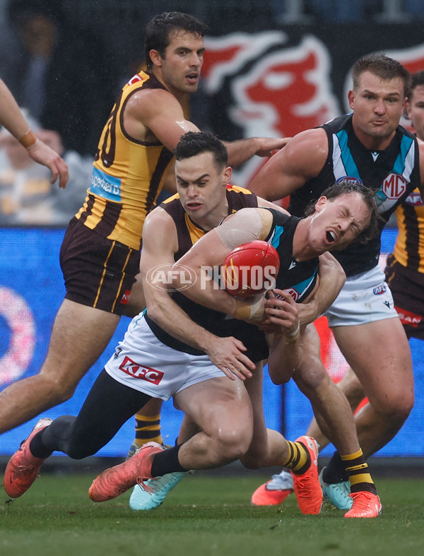 AFL 2025 Round 19 - Hawthorn v Port Adelaide - A-60615563