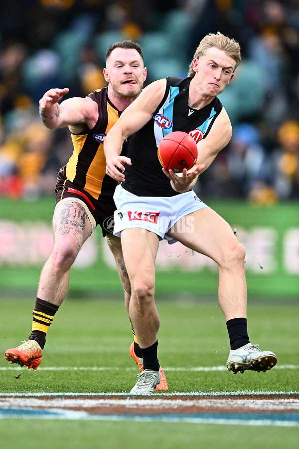 AFL 2025 Round 19 - Hawthorn v Port Adelaide - A-60615567