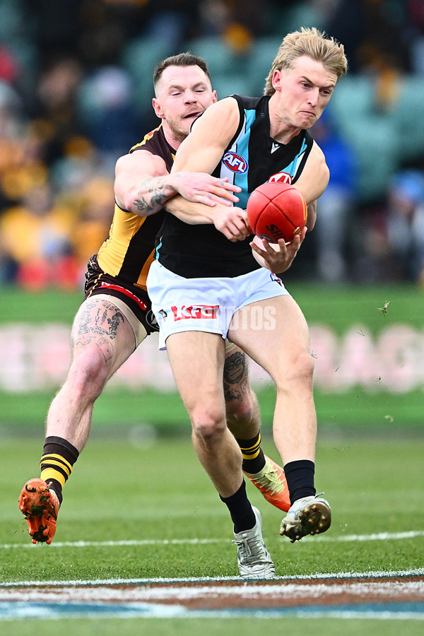 AFL 2025 Round 19 - Hawthorn v Port Adelaide - A-60615569