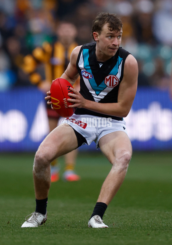 AFL 2025 Round 19 - Hawthorn v Port Adelaide - A-60615578