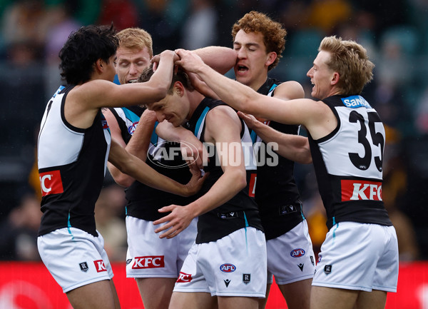 AFL 2025 Round 19 - Hawthorn v Port Adelaide - A-60615592