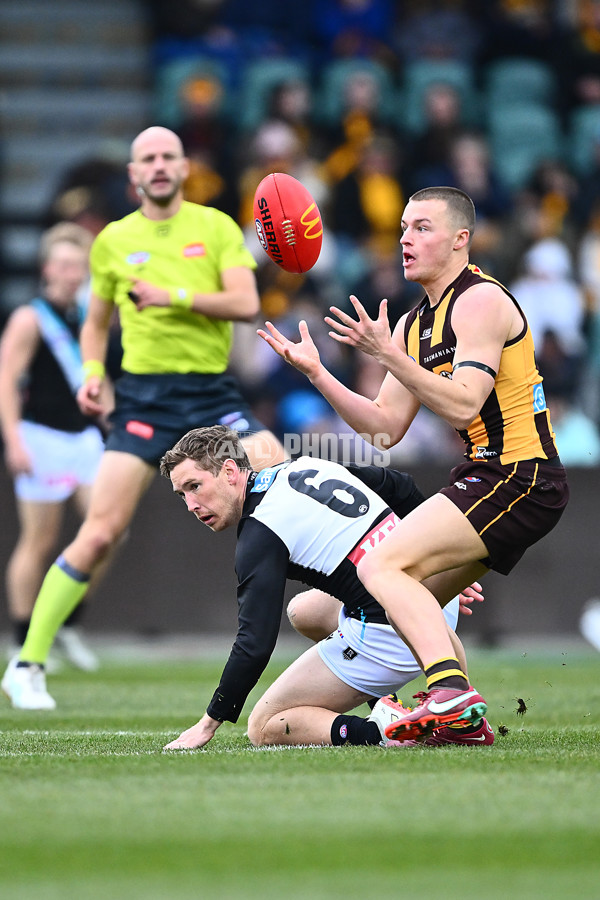 AFL 2025 Round 19 - Hawthorn v Port Adelaide - A-60615598