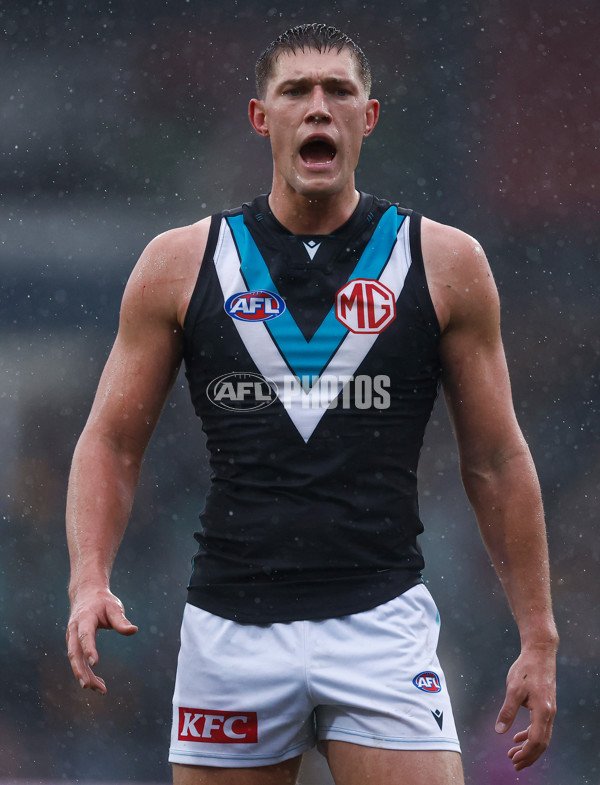 AFL 2025 Round 19 - Hawthorn v Port Adelaide - A-60615626
