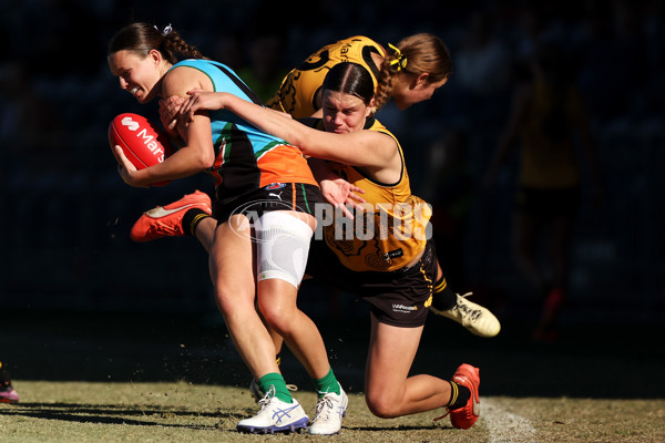 AFL National Championships U18 Girls 2025 - Allies v Western Australia - A-60616372