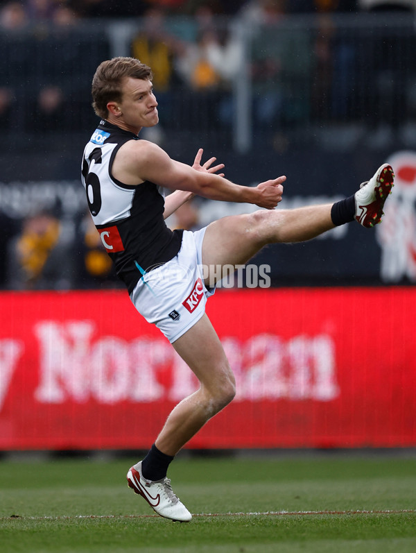 AFL 2025 Round 19 - Hawthorn v Port Adelaide - A-60616380