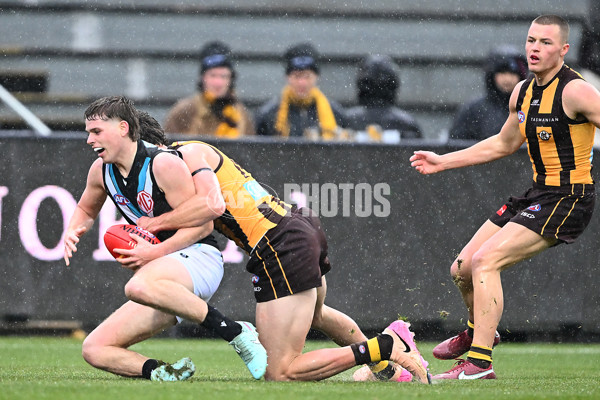 AFL 2025 Round 19 - Hawthorn v Port Adelaide - A-60616413