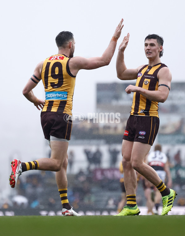 AFL 2025 Round 19 - Hawthorn v Port Adelaide - A-60616421