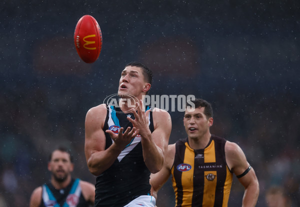 AFL 2025 Round 19 - Hawthorn v Port Adelaide - A-60616422