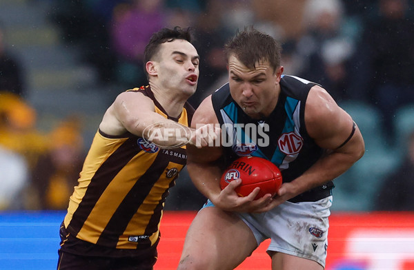 AFL 2025 Round 19 - Hawthorn v Port Adelaide - A-60616433