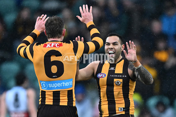 AFL 2025 Round 19 - Hawthorn v Port Adelaide - A-60616438