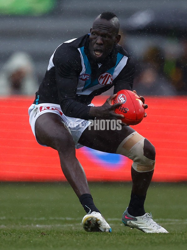 AFL 2025 Round 19 - Hawthorn v Port Adelaide - A-60616440