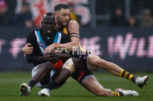 AFL 2025 Round 19 - Hawthorn v Port Adelaide - A-60616442
