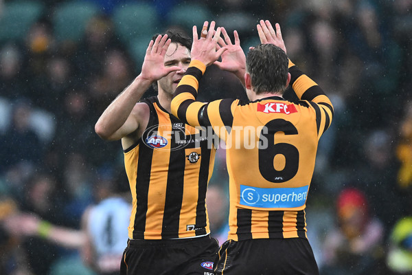 AFL 2025 Round 19 - Hawthorn v Port Adelaide - A-60618087