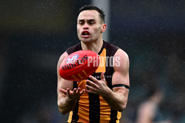 AFL 2025 Round 19 - Hawthorn v Port Adelaide - A-60618088