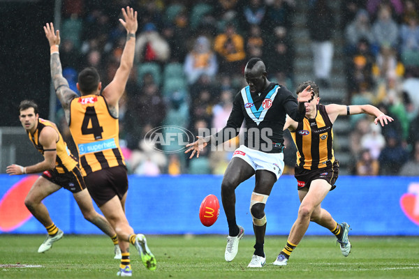 AFL 2025 Round 19 - Hawthorn v Port Adelaide - A-60618110