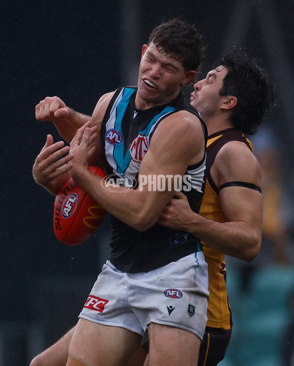 AFL 2025 Round 19 - Hawthorn v Port Adelaide - A-60618123