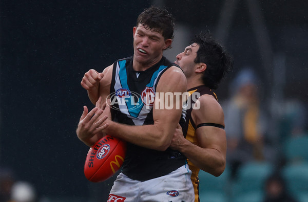 AFL 2025 Round 19 - Hawthorn v Port Adelaide - A-60618895