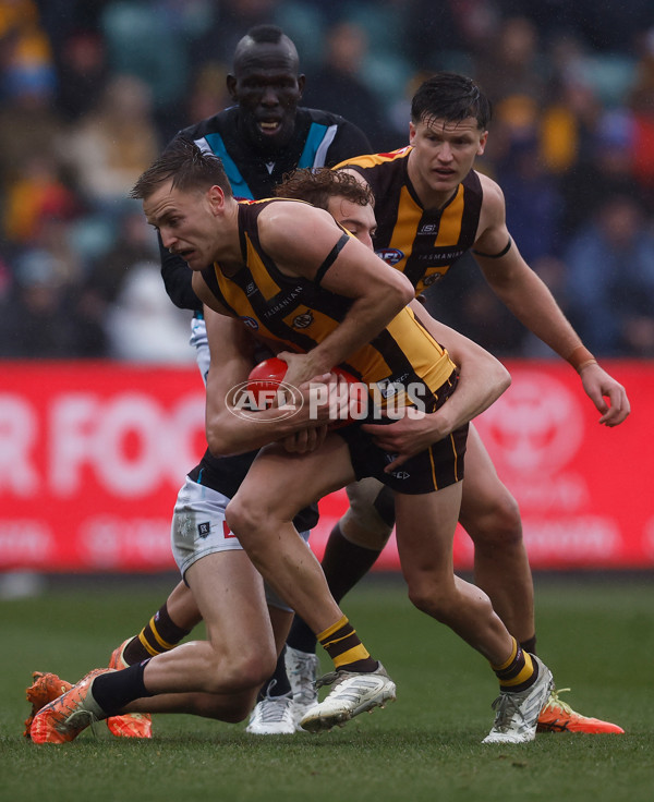 AFL 2025 Round 19 - Hawthorn v Port Adelaide - A-60618916