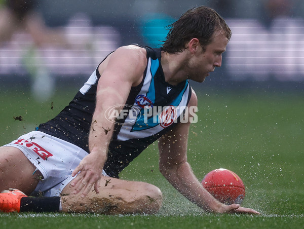 AFL 2025 Round 19 - Hawthorn v Port Adelaide - A-60618943