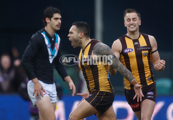 AFL 2025 Round 19 - Hawthorn v Port Adelaide - A-60618973