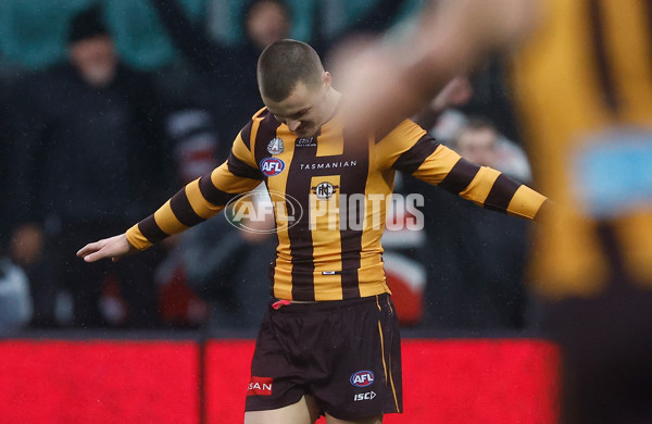 AFL 2025 Round 19 - Hawthorn v Port Adelaide - A-60618983