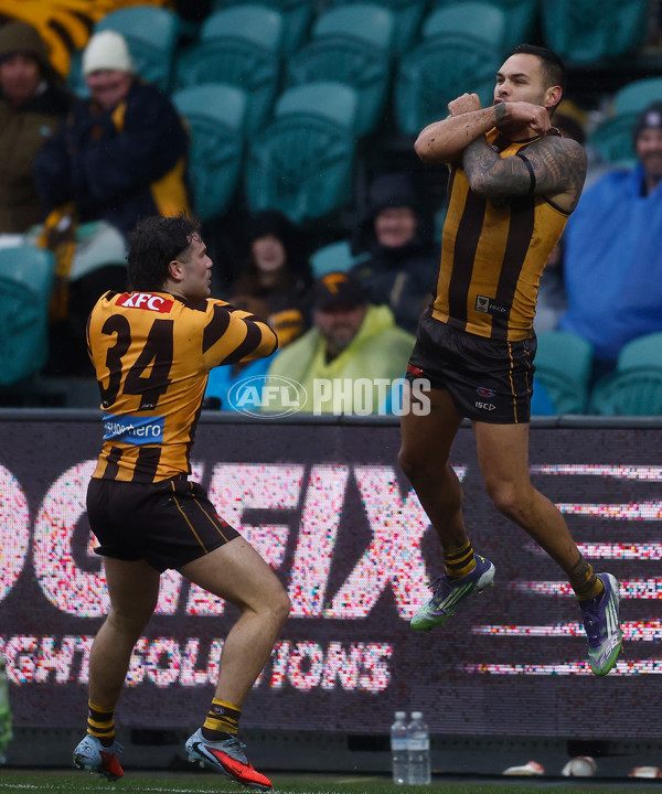 AFL 2025 Round 19 - Hawthorn v Port Adelaide - A-60620915