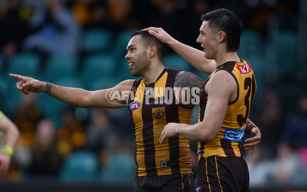 AFL 2025 Round 19 - Hawthorn v Port Adelaide - A-60620924