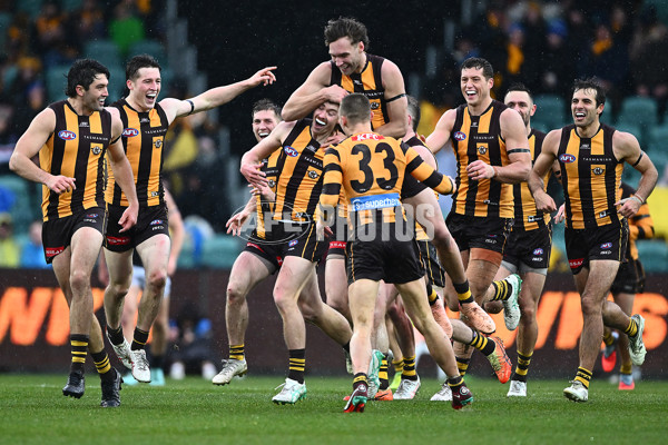 AFL 2025 Round 19 - Hawthorn v Port Adelaide - A-60620925