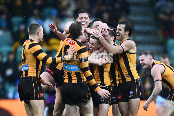 AFL 2025 Round 19 - Hawthorn v Port Adelaide - A-60620929