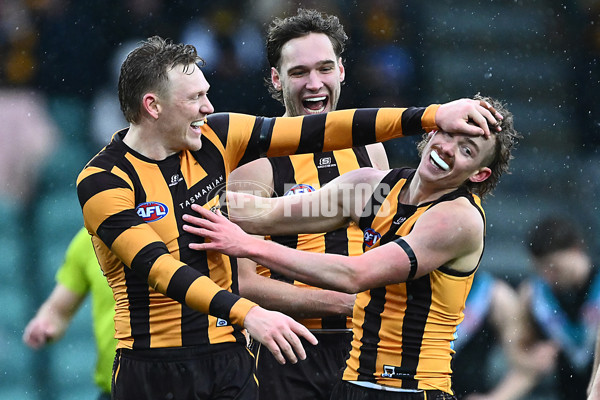 AFL 2025 Round 19 - Hawthorn v Port Adelaide - A-60620930