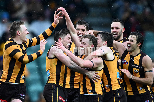 AFL 2025 Round 19 - Hawthorn v Port Adelaide - A-60621652