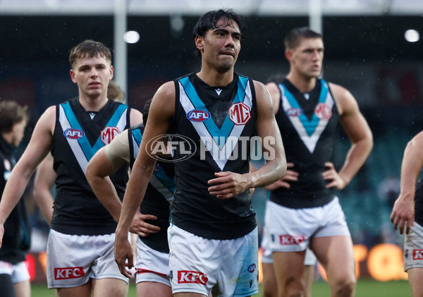 AFL 2025 Round 19 - Hawthorn v Port Adelaide - A-60623748