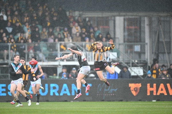 AFL 2025 Round 19 - Hawthorn v Port Adelaide - A-60623781