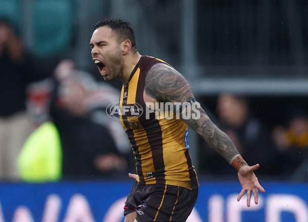 AFL 2025 Round 19 - Hawthorn v Port Adelaide - A-60623801