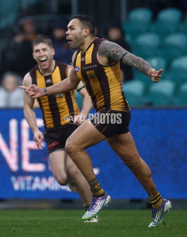 AFL 2025 Round 19 - Hawthorn v Port Adelaide - A-60623810