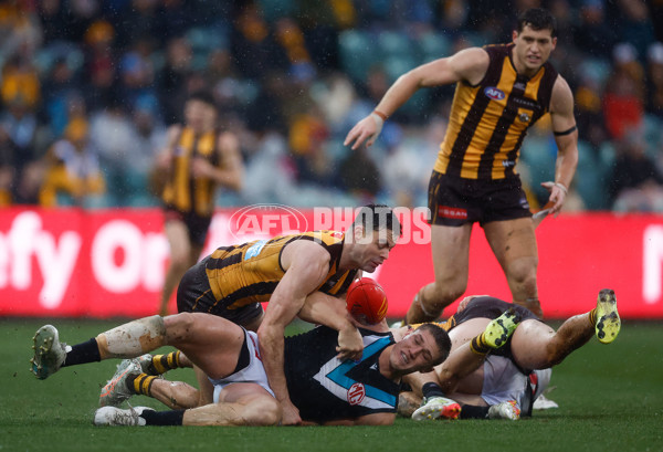 AFL 2025 Round 19 - Hawthorn v Port Adelaide - A-60623817
