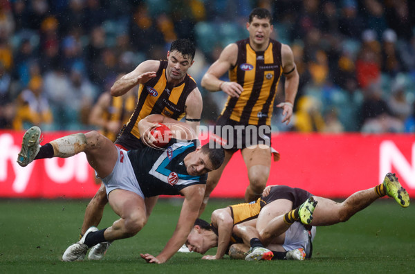 AFL 2025 Round 19 - Hawthorn v Port Adelaide - A-60624293
