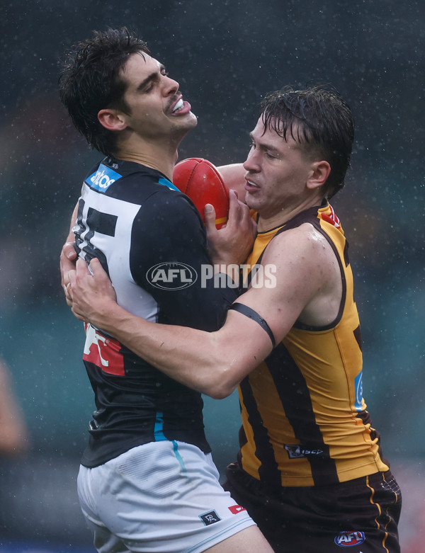 AFL 2025 Round 19 - Hawthorn v Port Adelaide - A-60624338