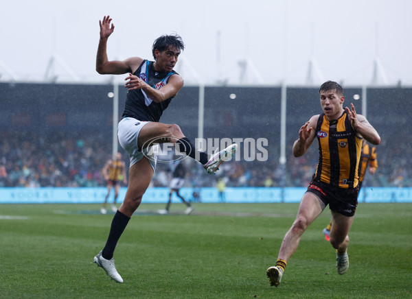 AFL 2025 Round 19 - Hawthorn v Port Adelaide - A-60626399