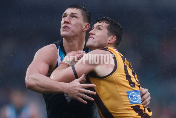 AFL 2025 Round 19 - Hawthorn v Port Adelaide - A-60626766