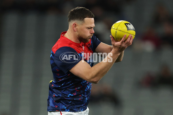 AFL 2025 Round 19 - Carlton v Melbourne - A-60629452