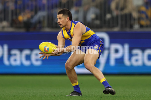 AFL 2025 Round 19 - West Coast v Richmond - A-60634883