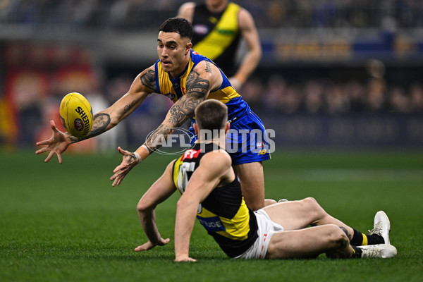 AFL 2025 Round 19 - West Coast v Richmond - A-60634897